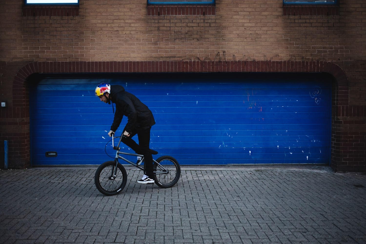 Bmx for hot sale tall riders