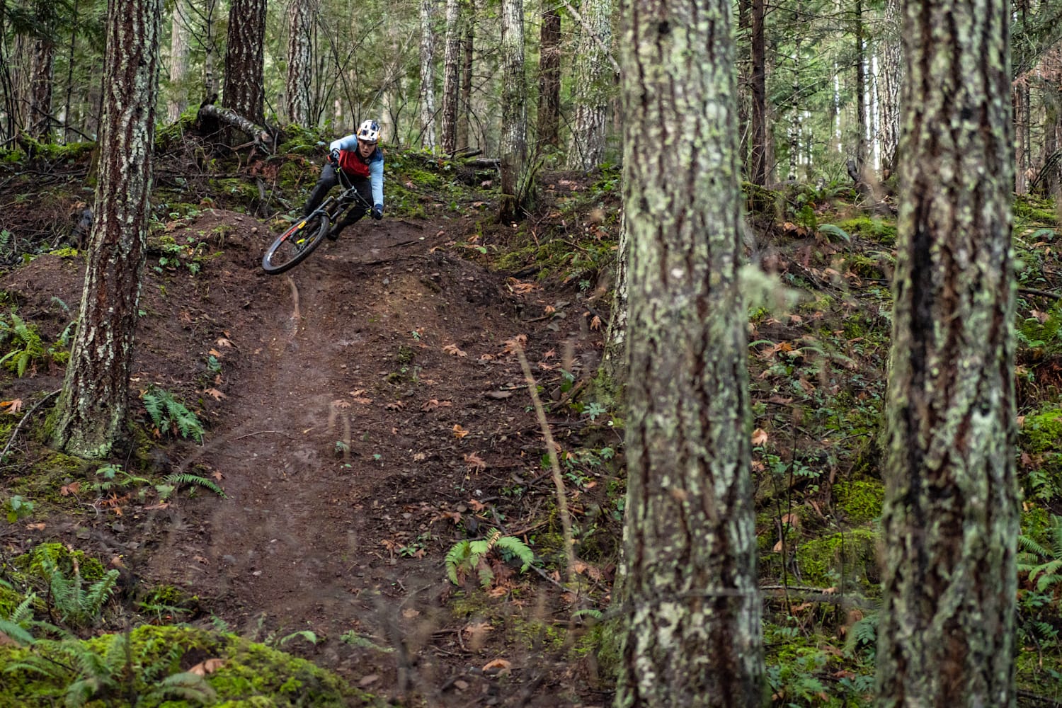 Mountain biking on sale in rain