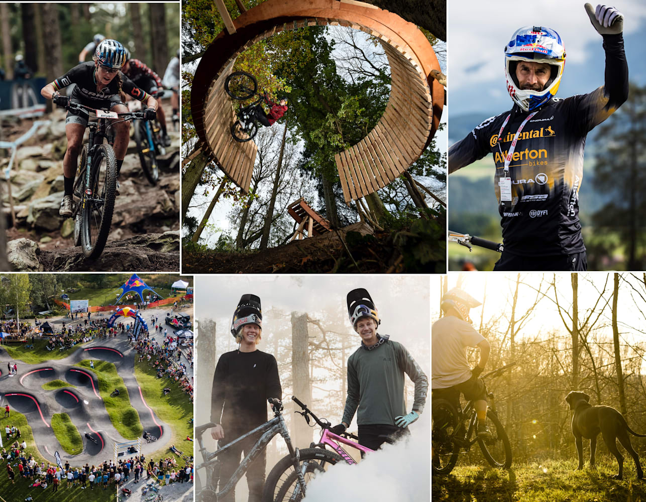 Mtb news 2021 shop