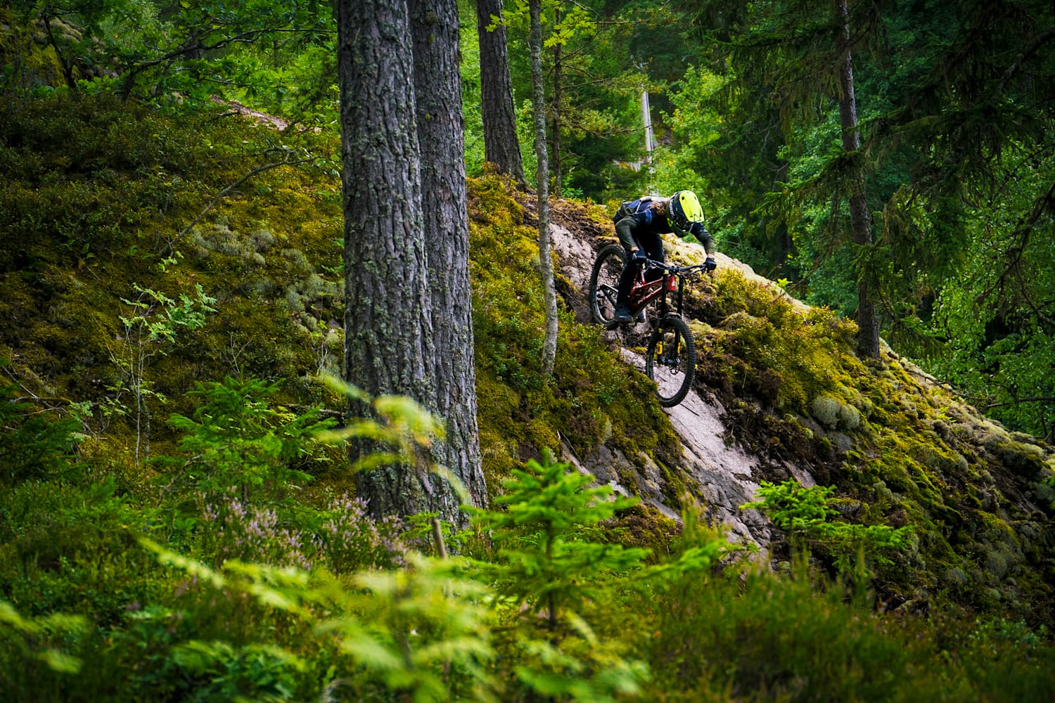 Shred 2 clearance freeride mountain biking