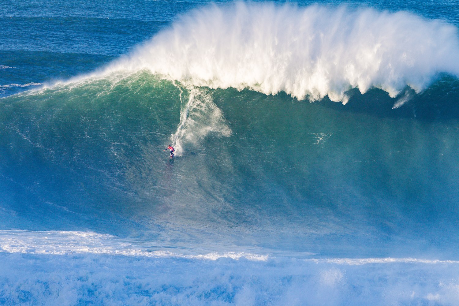 Big new arrivals wave championship