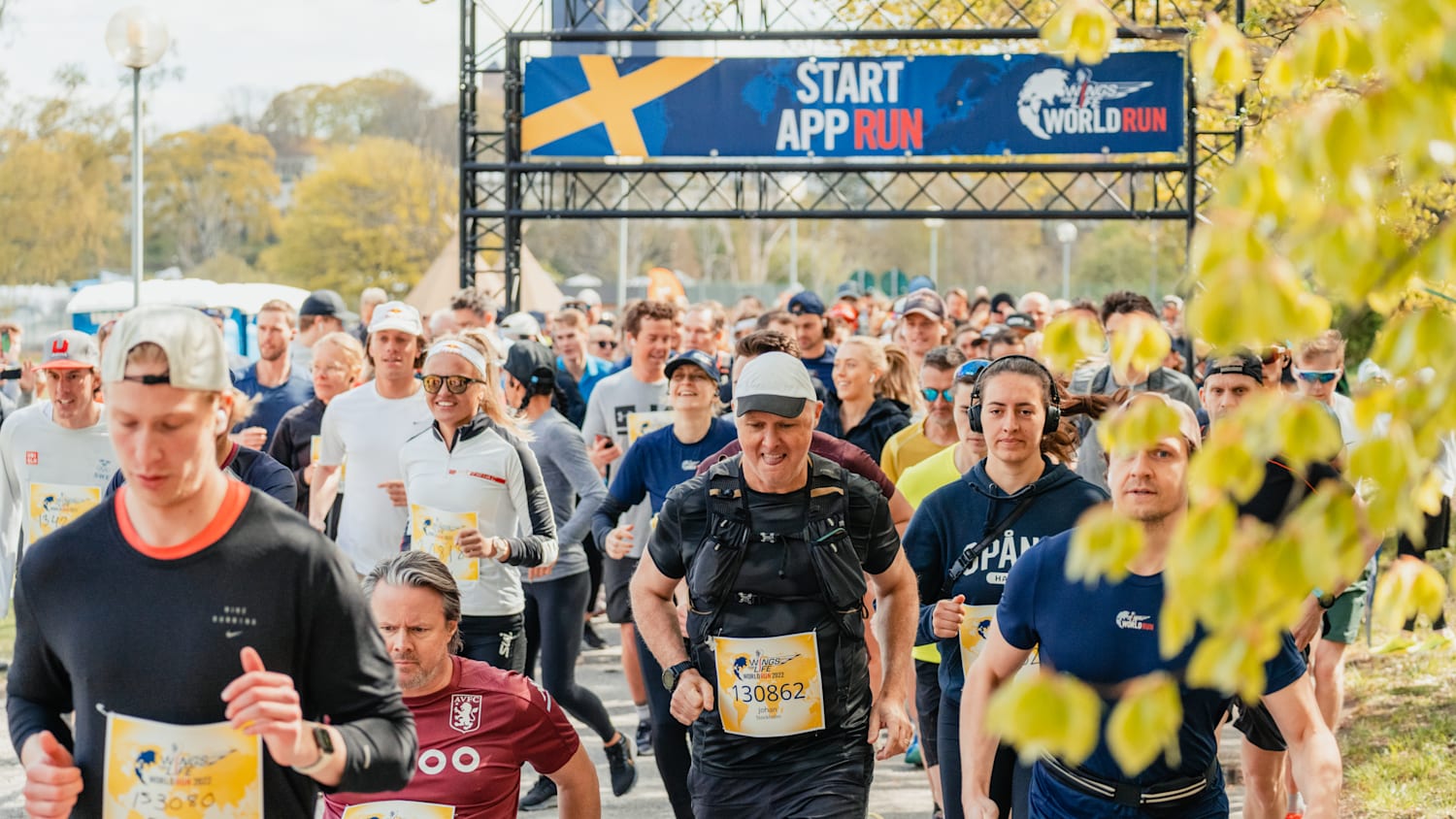 Wings for life world run shop hotsell