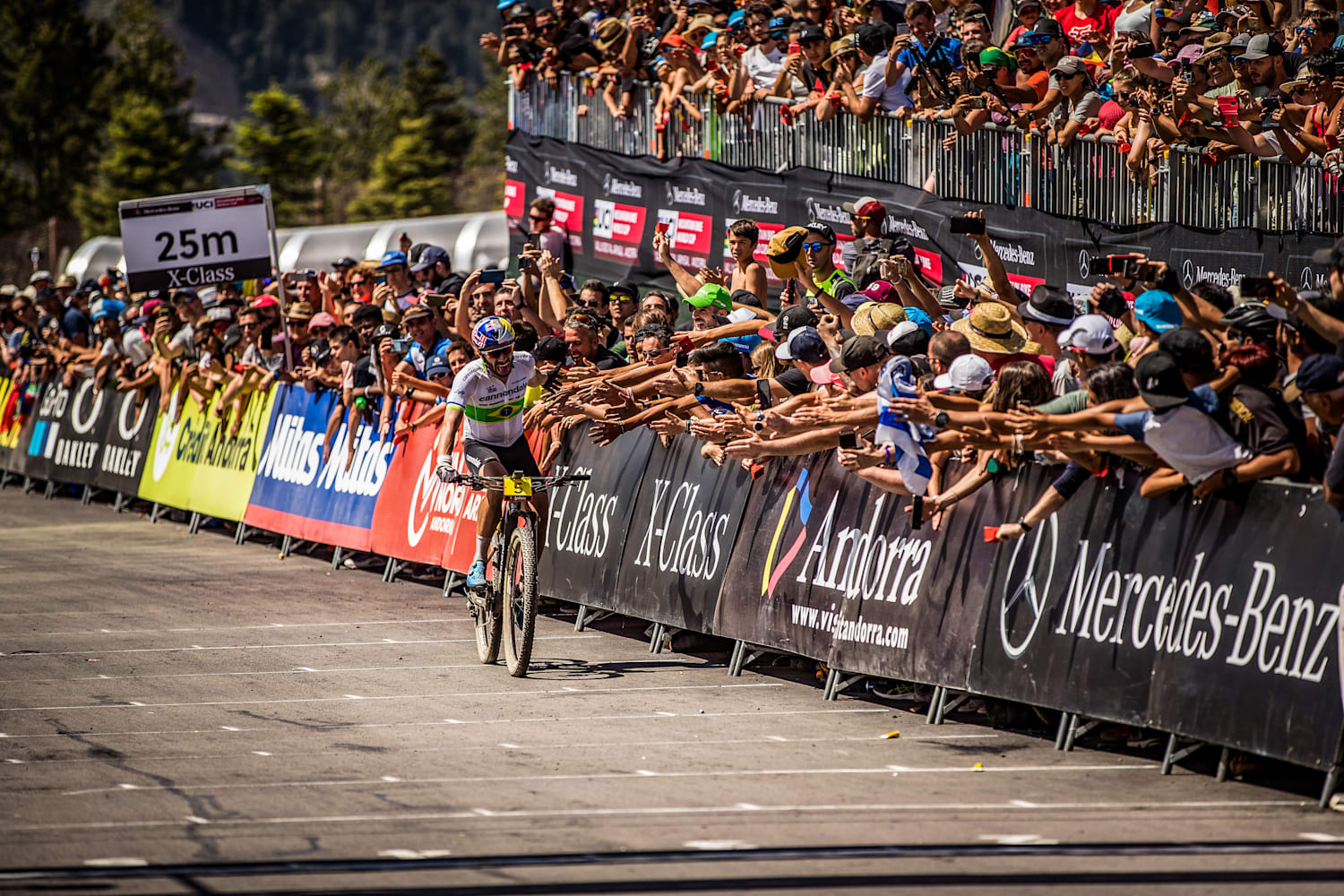 Red bull tv vallnord 2019 store