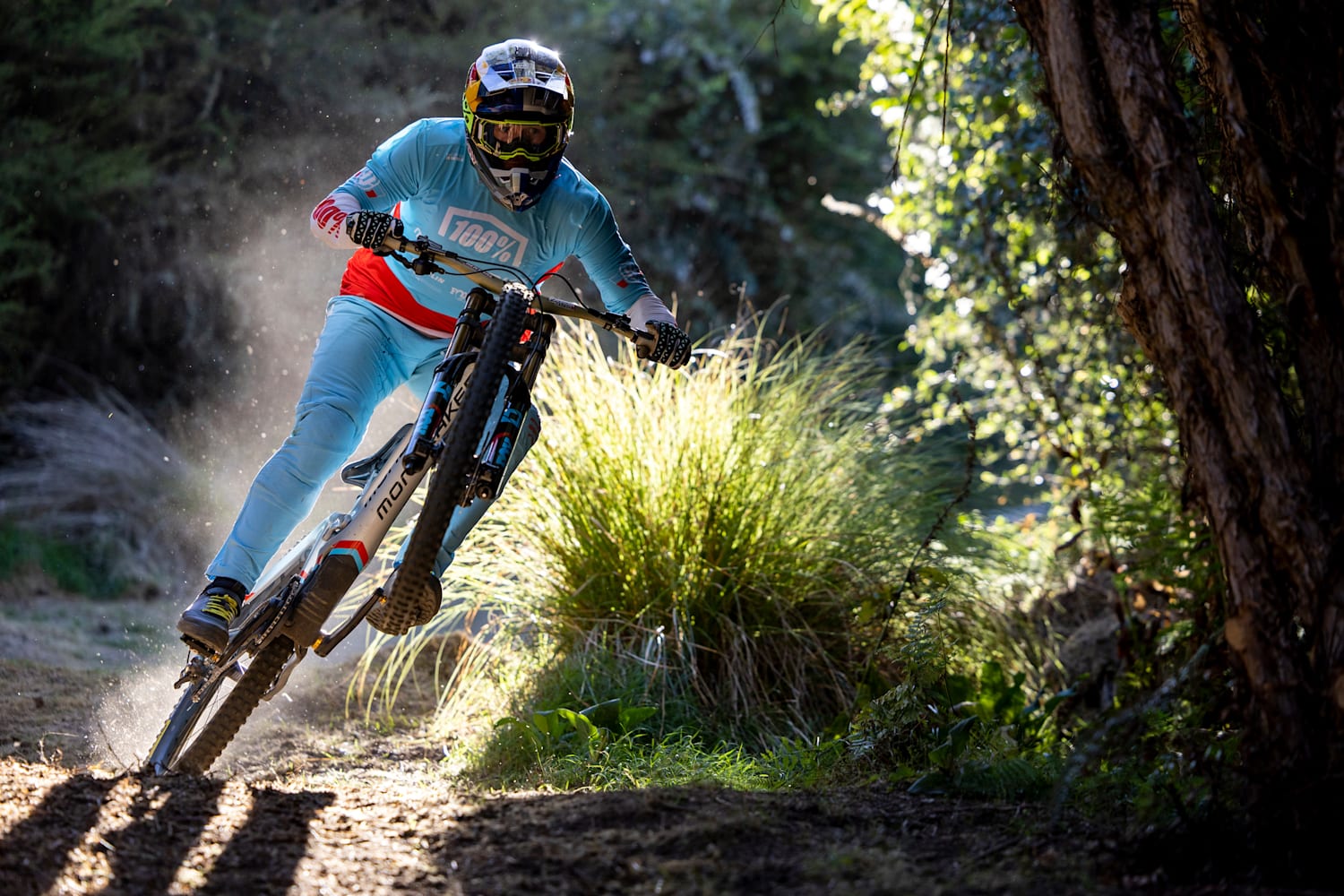 Track downhill sales