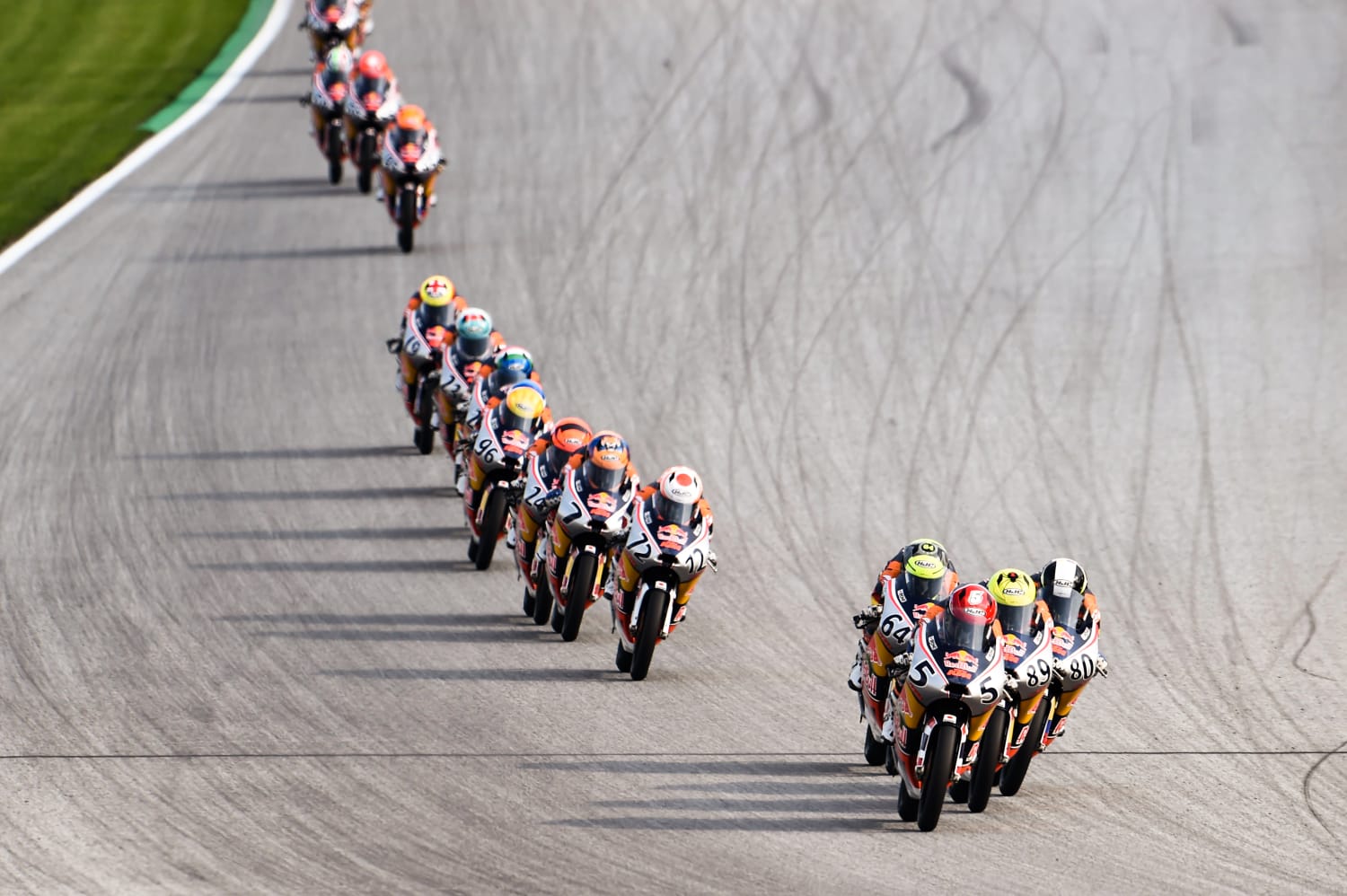red bull rookies cup 2022 live stream