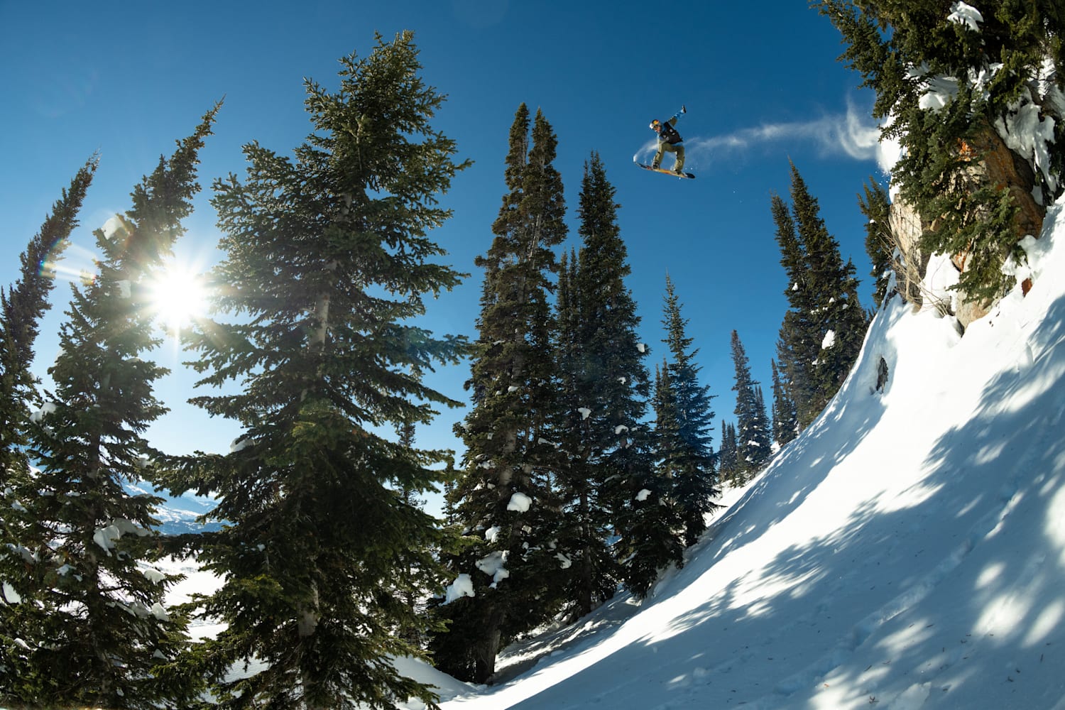 FOSSIL SNOWBOARD つつましく NATURAL 154 16-17モデル 