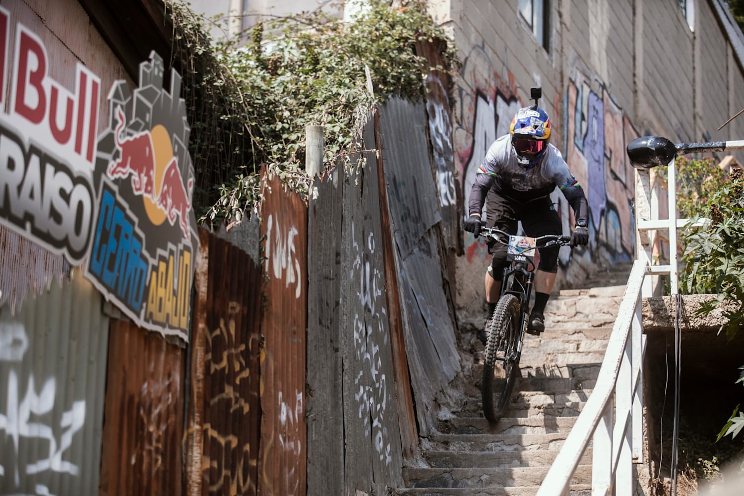 Red bull urban downhill 2018 sale