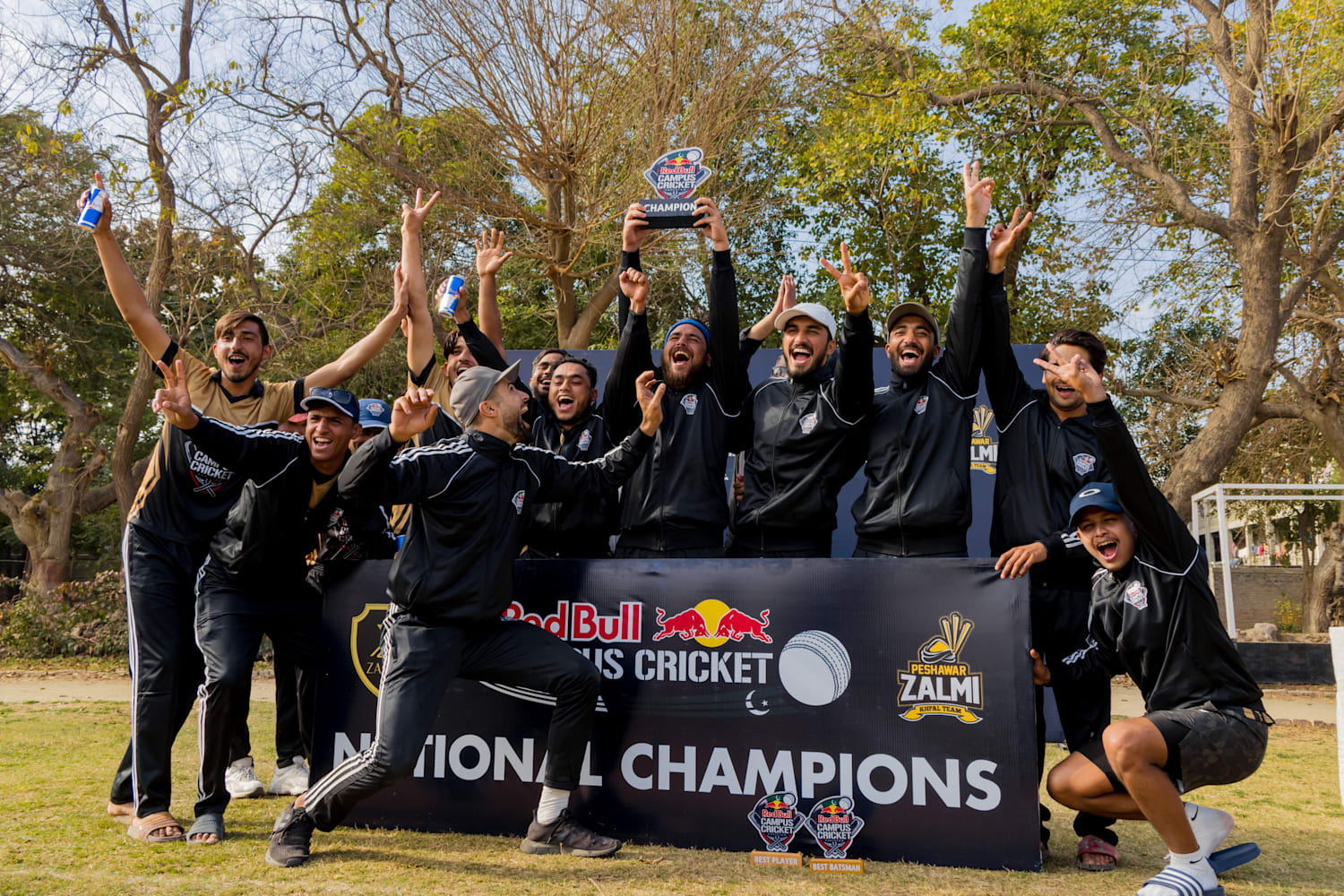Lmi cricket on sale