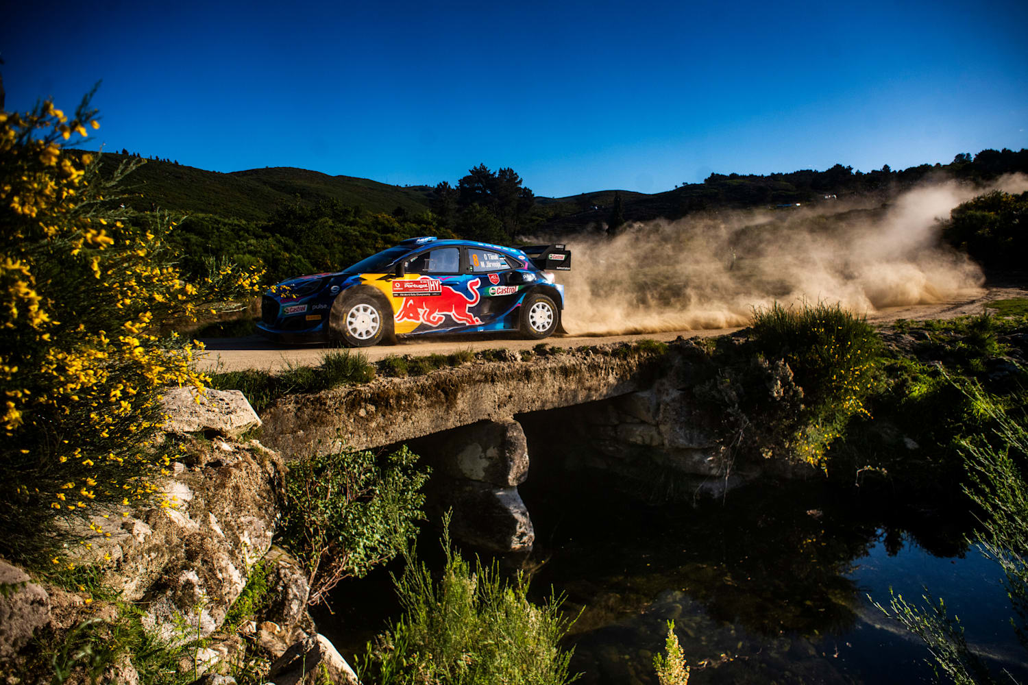 Rally racing new arrivals