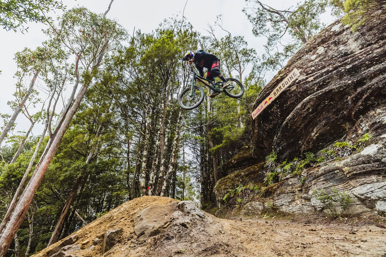Red bull hardline sales