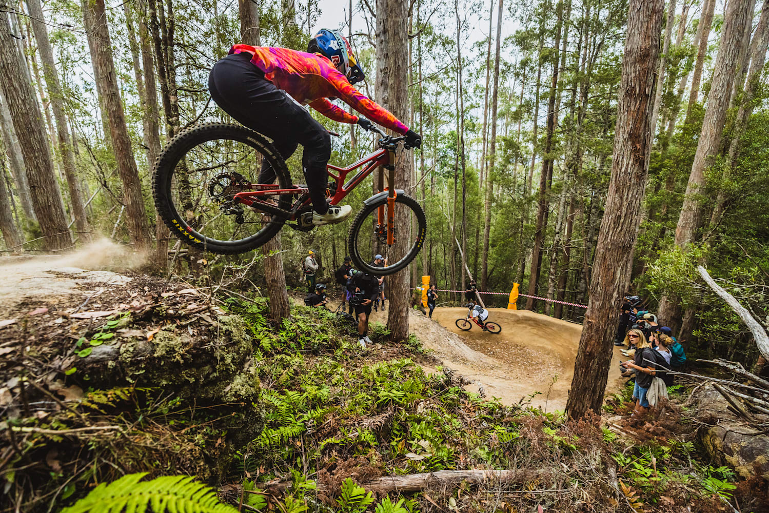 The bull track mtb outlet