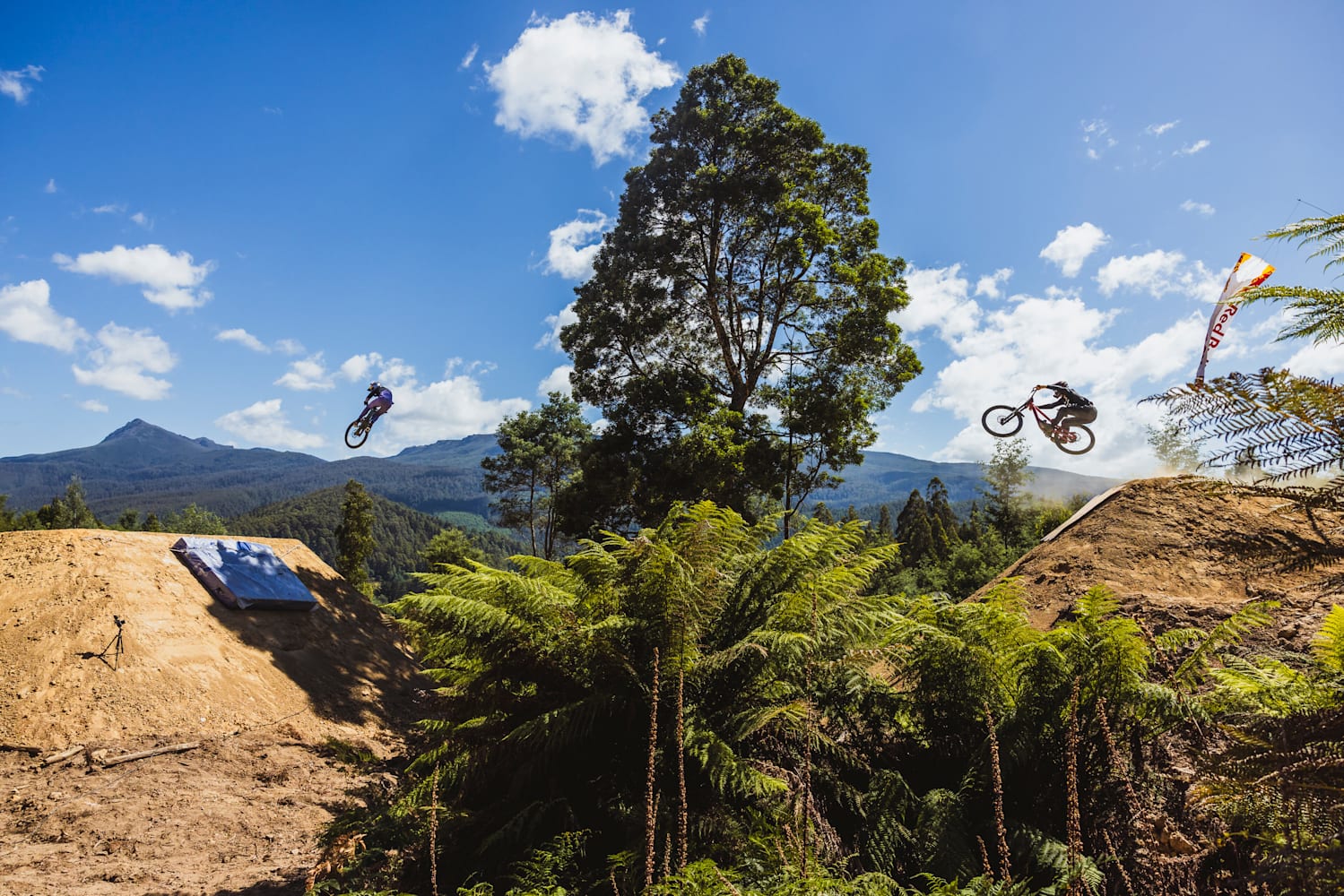 Red hill skills 2025 park