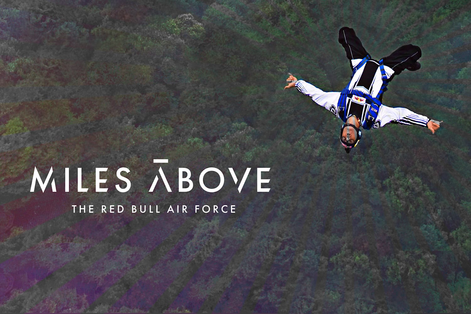 Miles Above ベースジャンプ ウイングスーツ飛行 スカイダイビング