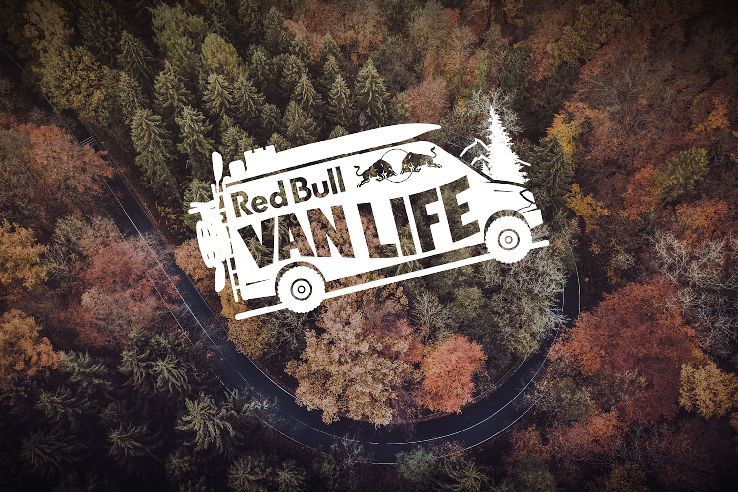 red bull vans