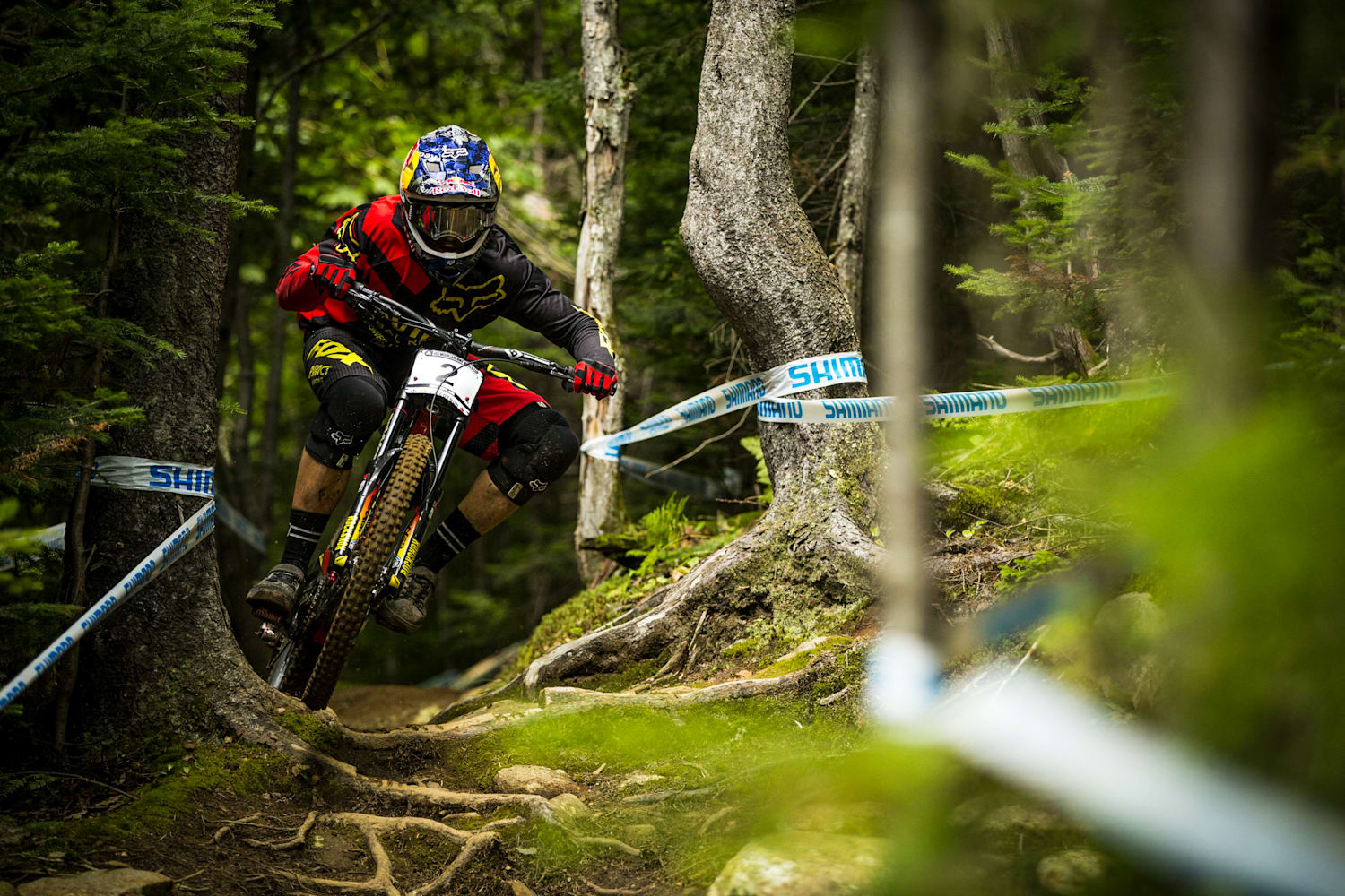 mont sainte anne mountain bike world cup 2019