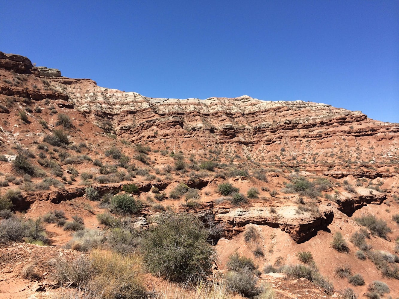 Red bull rampage 2014 store