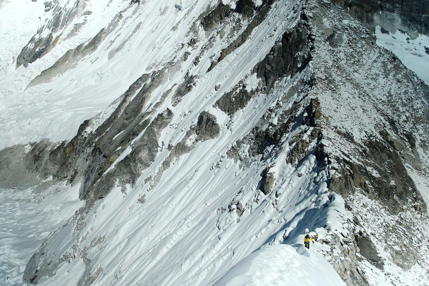 2016 k2 skis K2 Shreditor 102 Skis 2016 | theskimonster.com