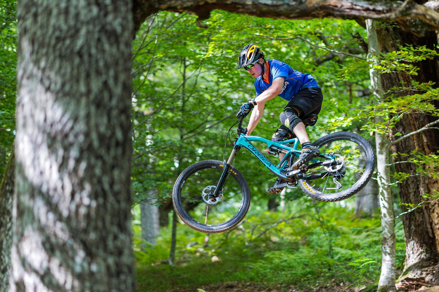 Orbea Rallon review The ultimate enduro bike