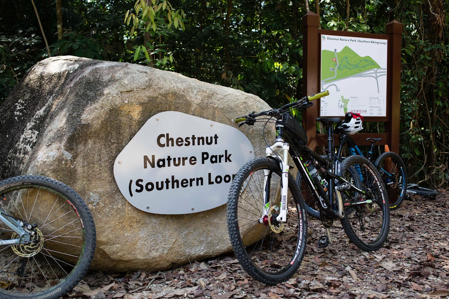 Singapore Mountain Bike Trails Chestnut Nature Park
