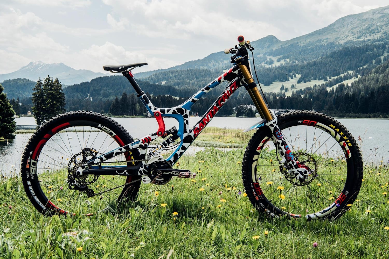 Mtb customization clearance