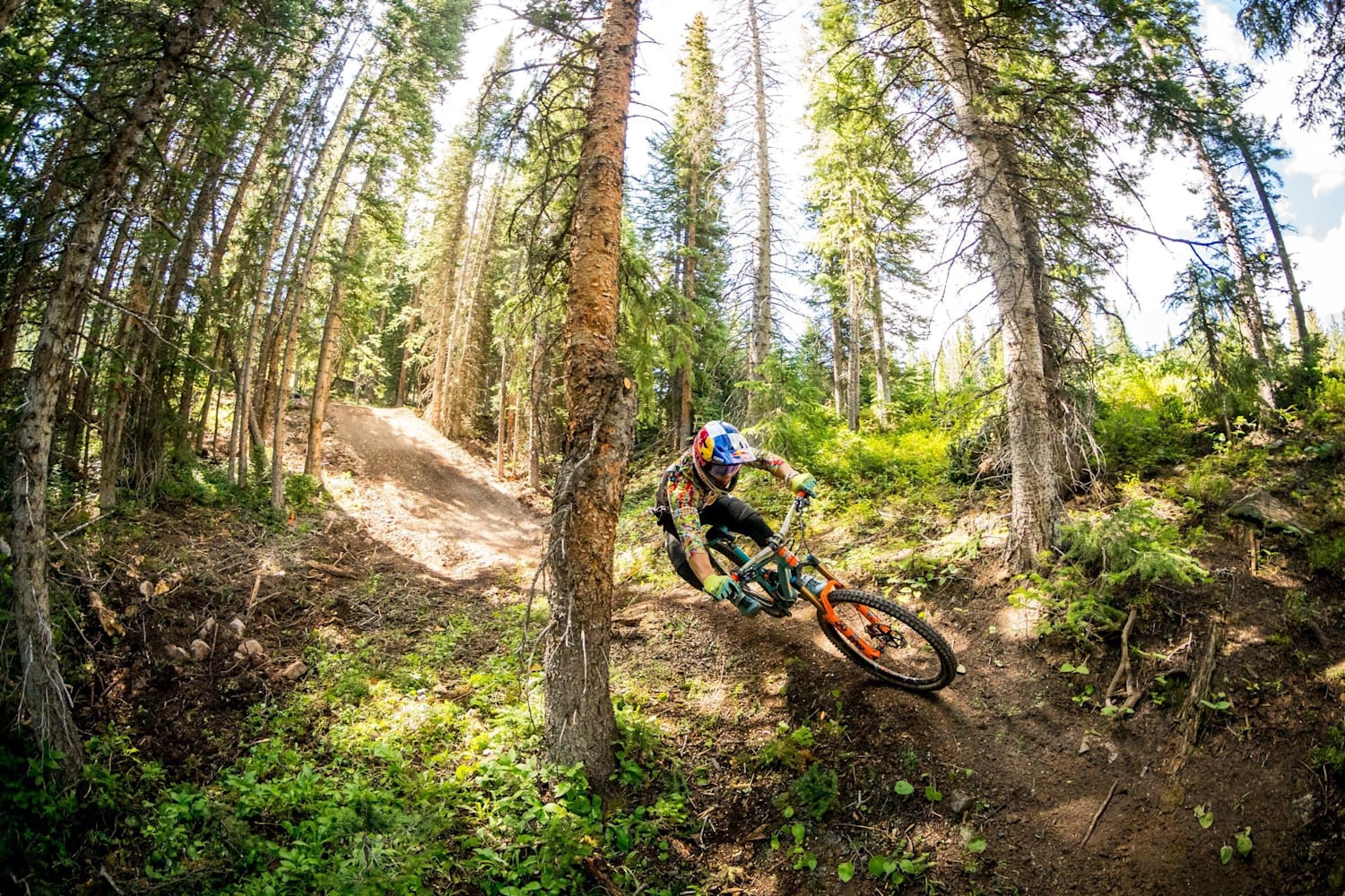 De beste enduro mountainbikes van 2020 Dit is de top 6
