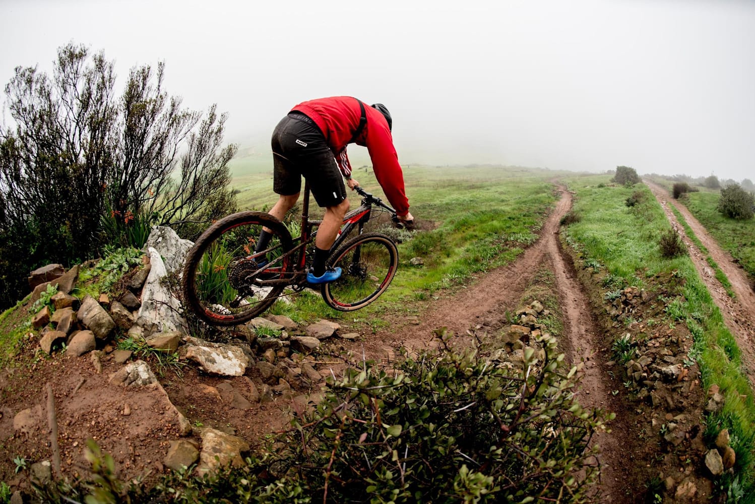 Best mountain bike parks new arrivals