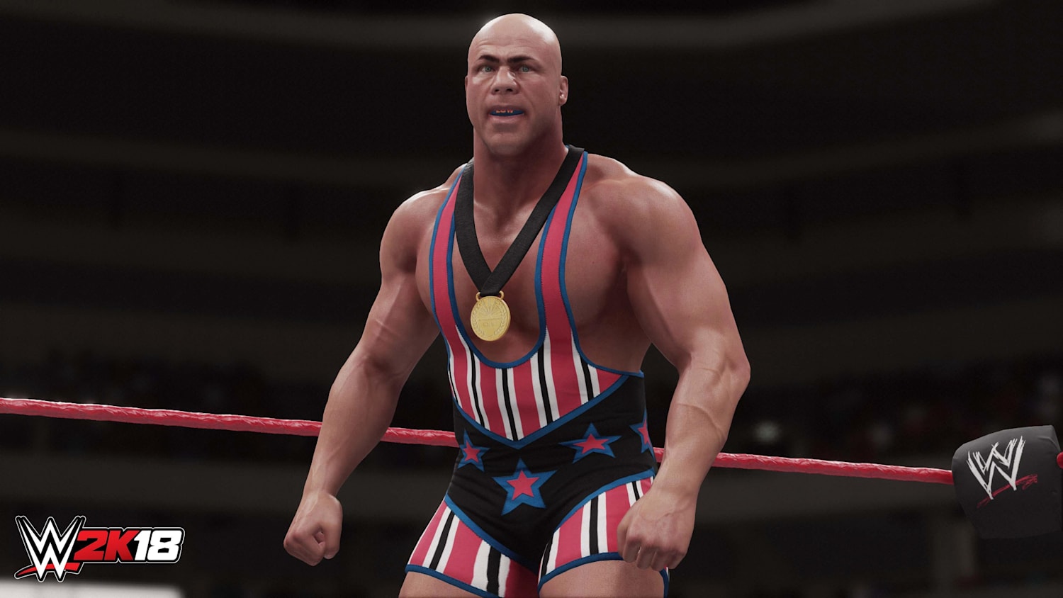 Wwe 2k18 clearance