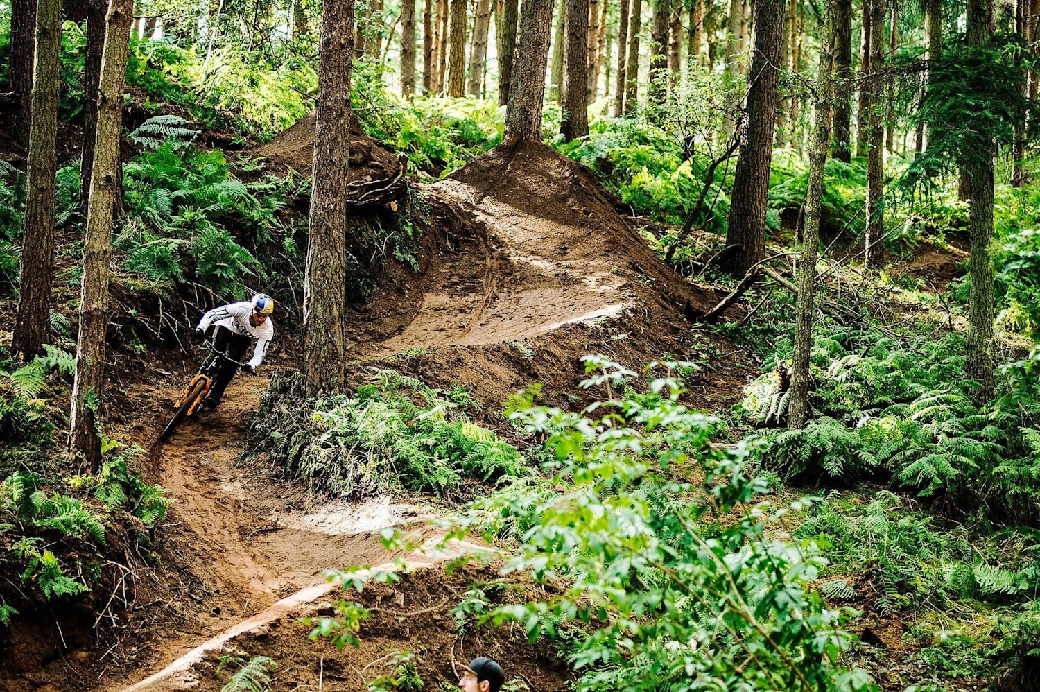 Trail downhill 2025