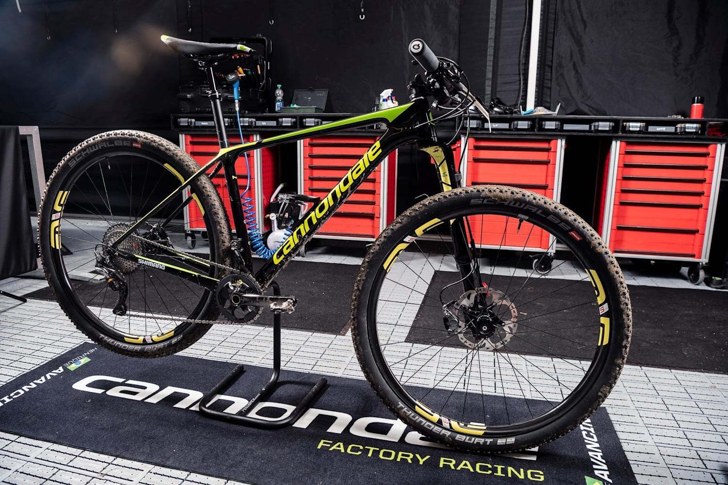Henrique avancini cannondale hotsell