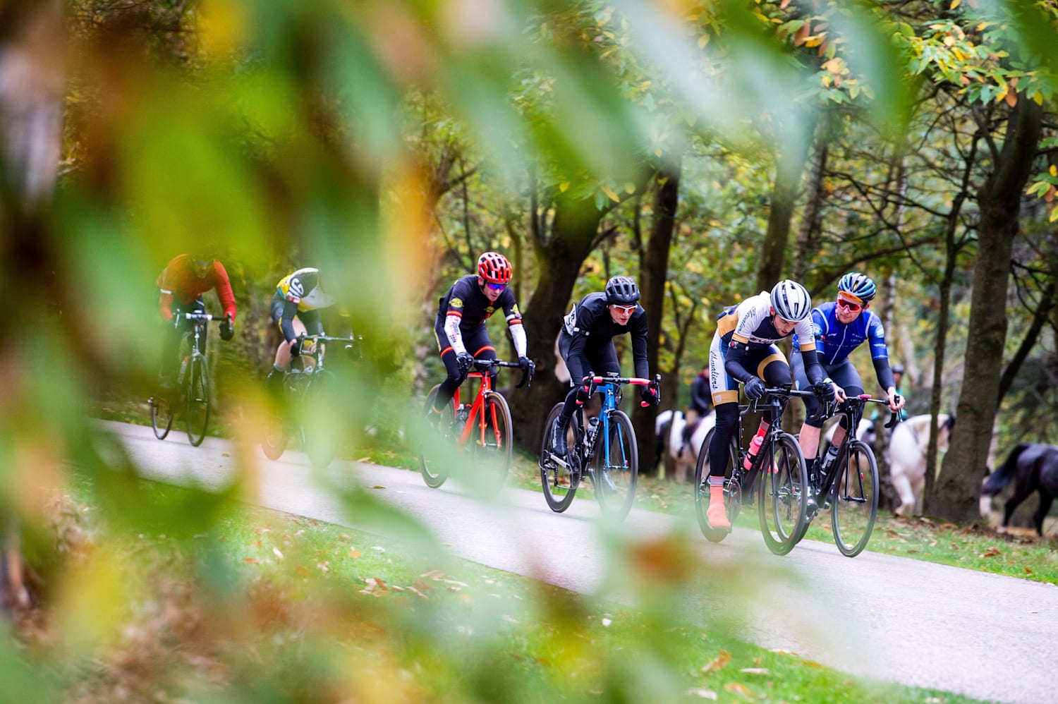 Cycling sportives hot sale