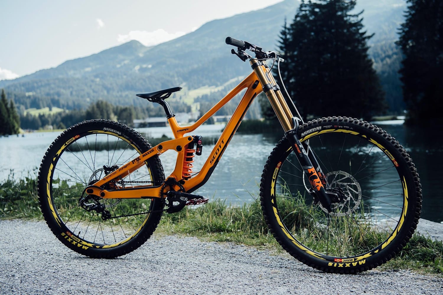 Scott gambler 2019 new arrivals