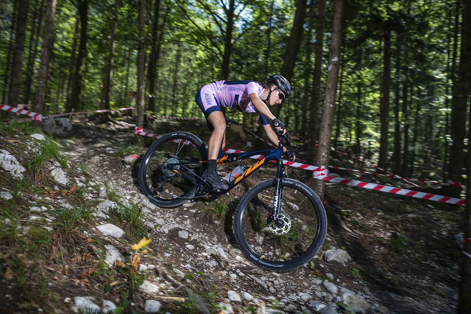 Best marathon bike 2019 cheap
