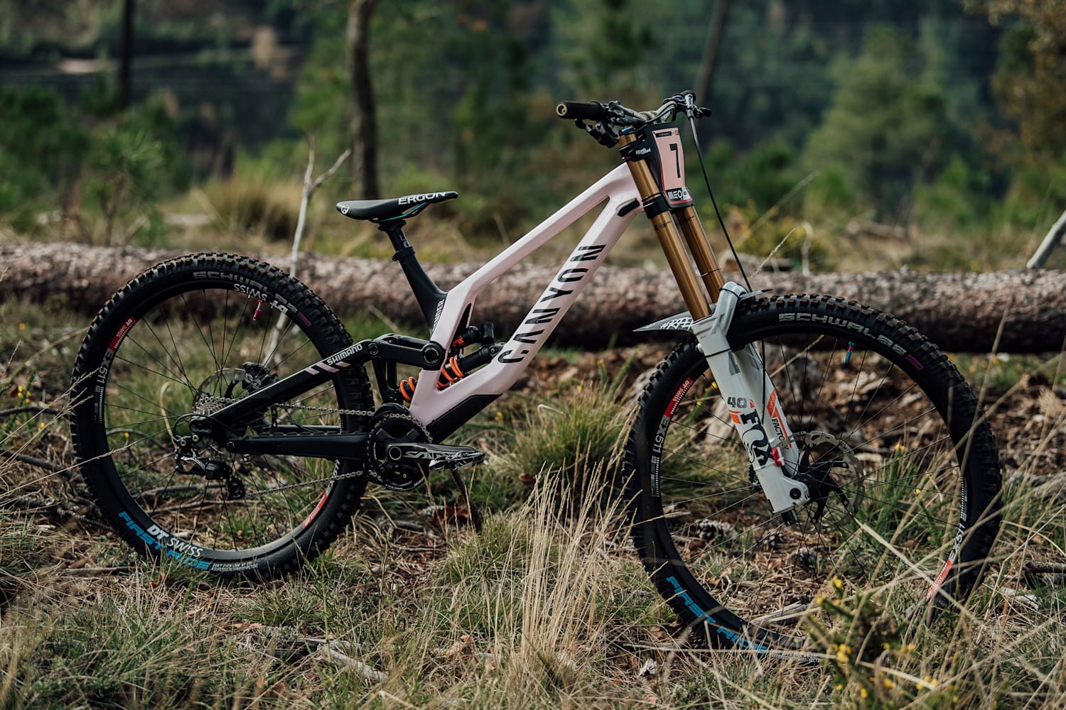 Tahnee Seagrave bike check 2021 Canyon Sender CFR FMD