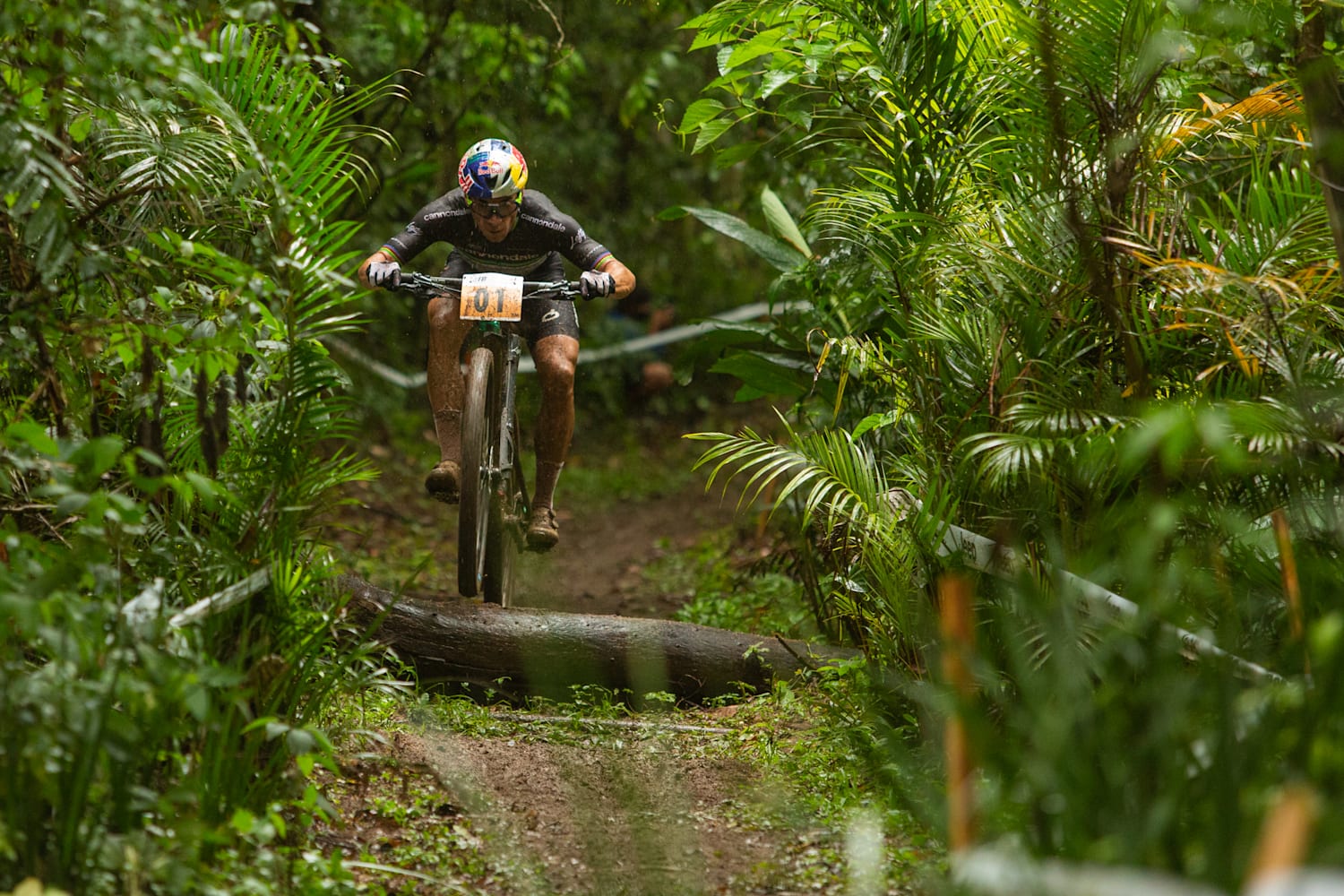 Eco challenge mountain bike online