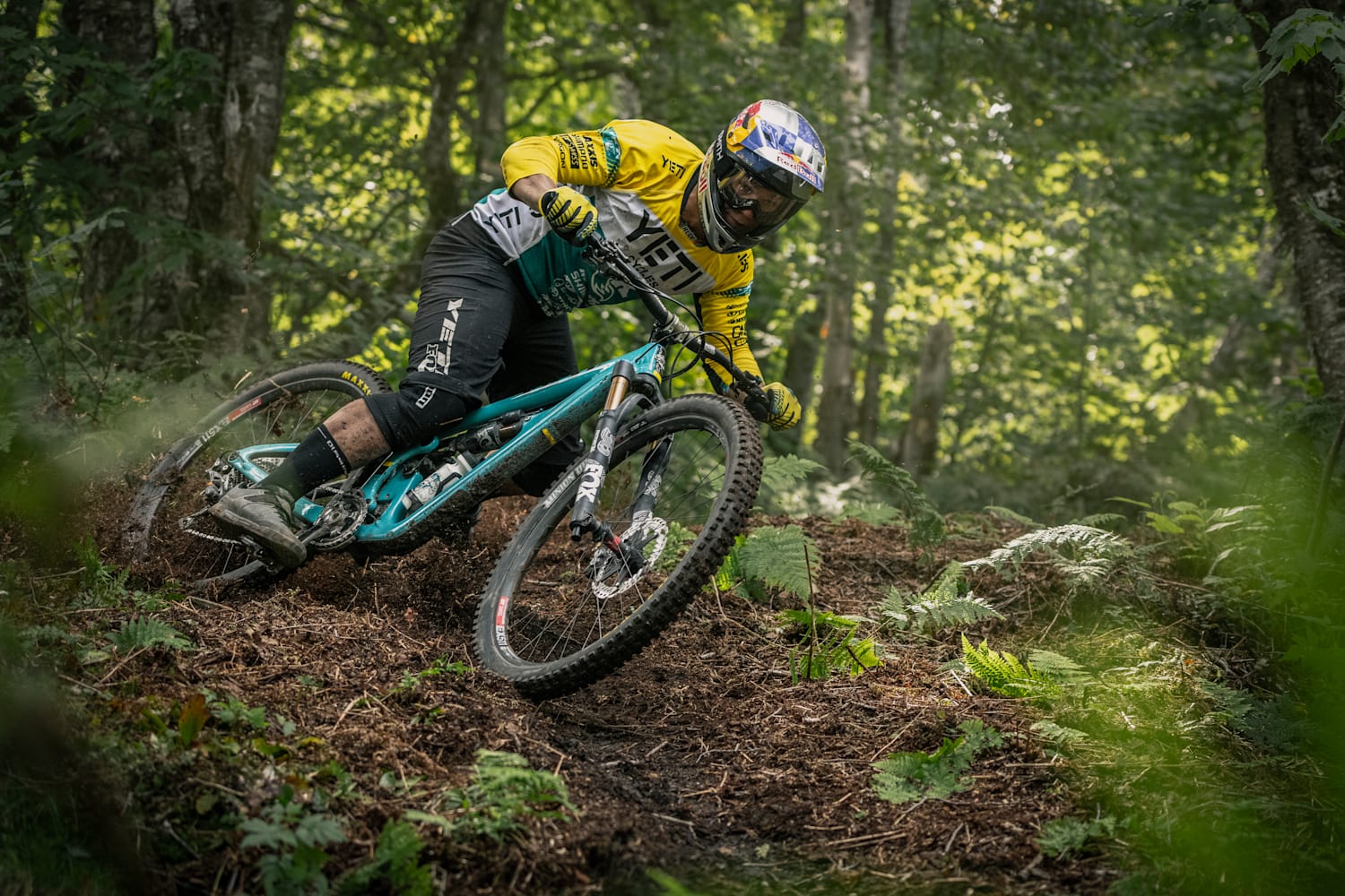 Meilleur enduro vtt outlet