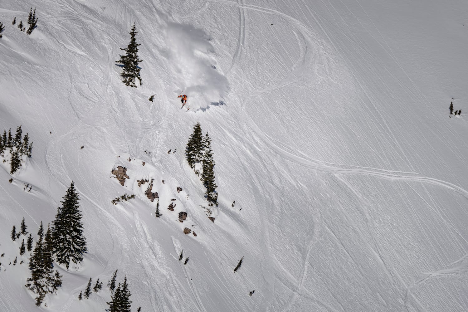 Big Mountain skis: Top 6 of the Freeride World Tour