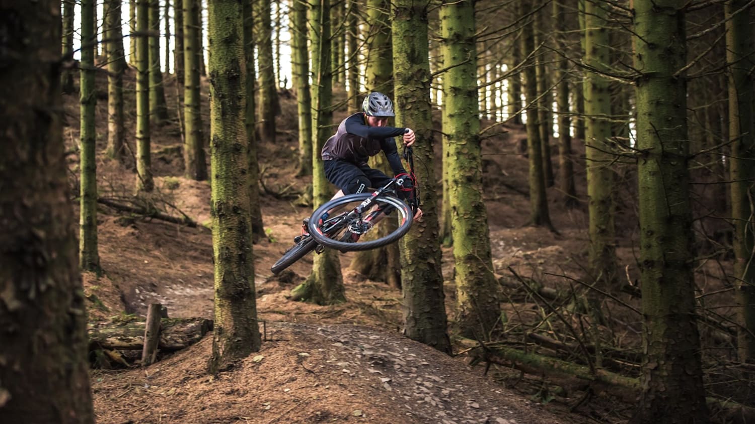 Coed Llandegla MTB Guide Everything you need to know