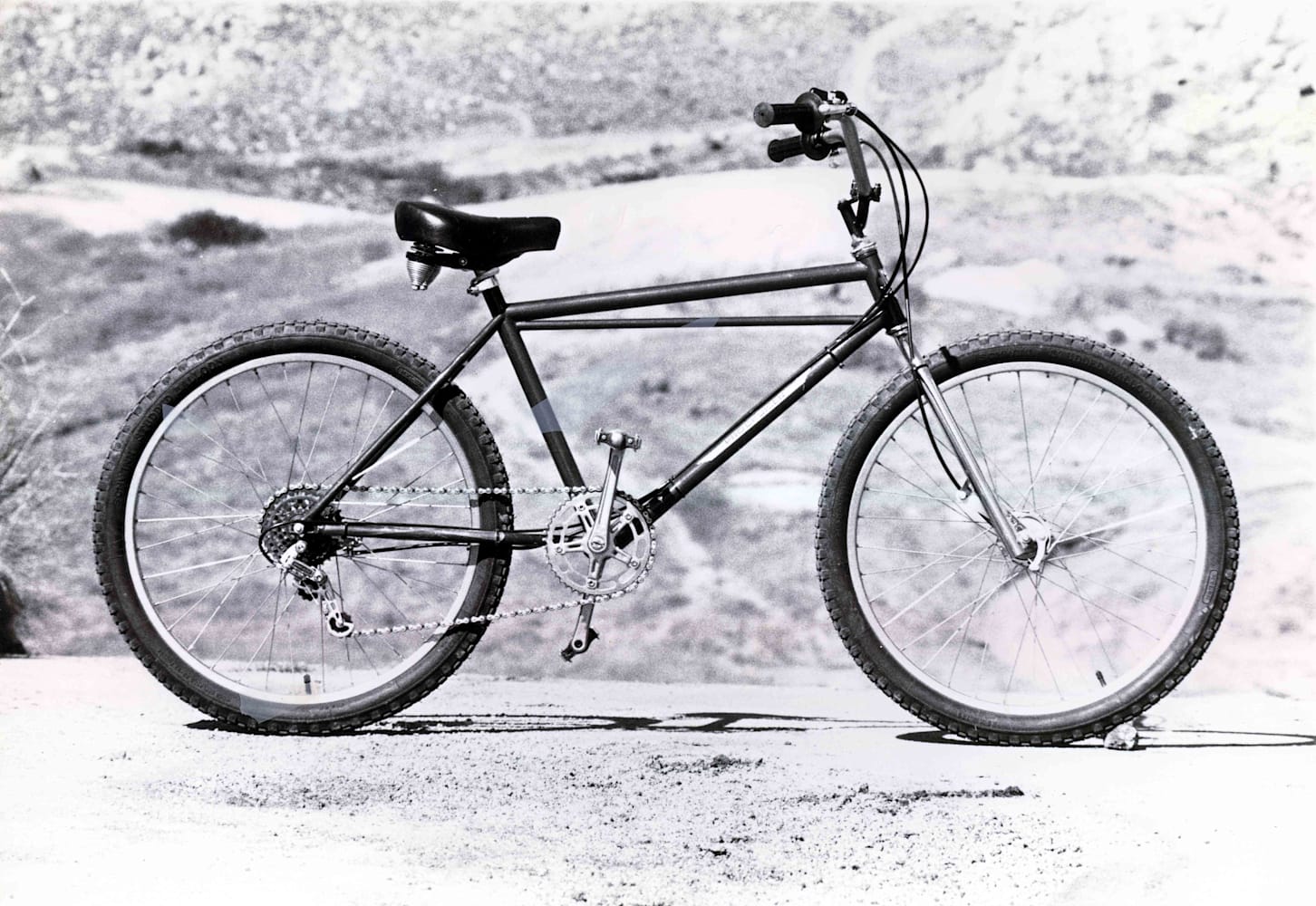 Specialized stumpjumper history sales