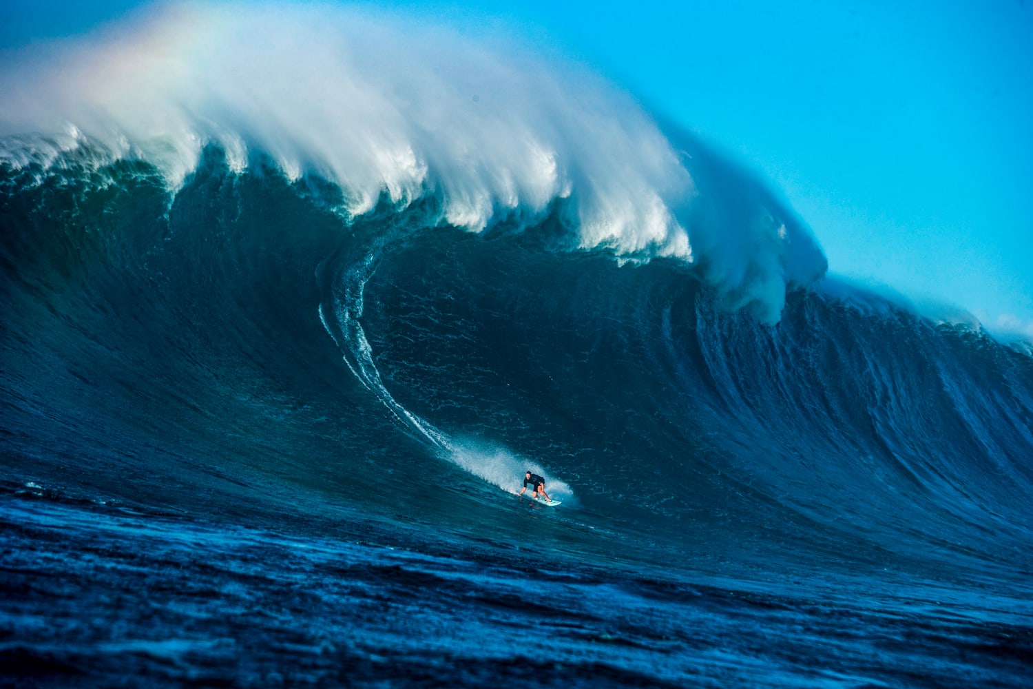 Surf in hawaiian cheap