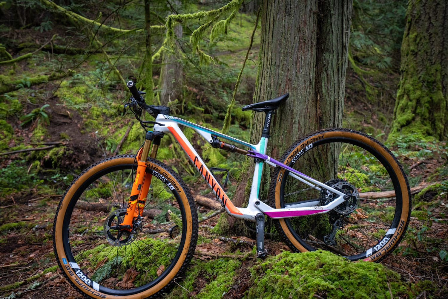 Best women's mountain bike brands on sale