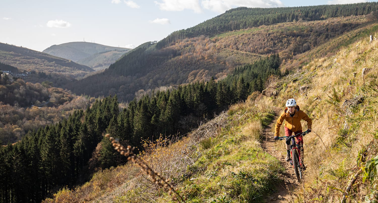 Afan Forest Park guide Everything you need to know