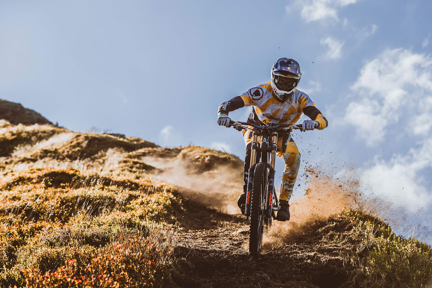 Gee atherton hardline outlet