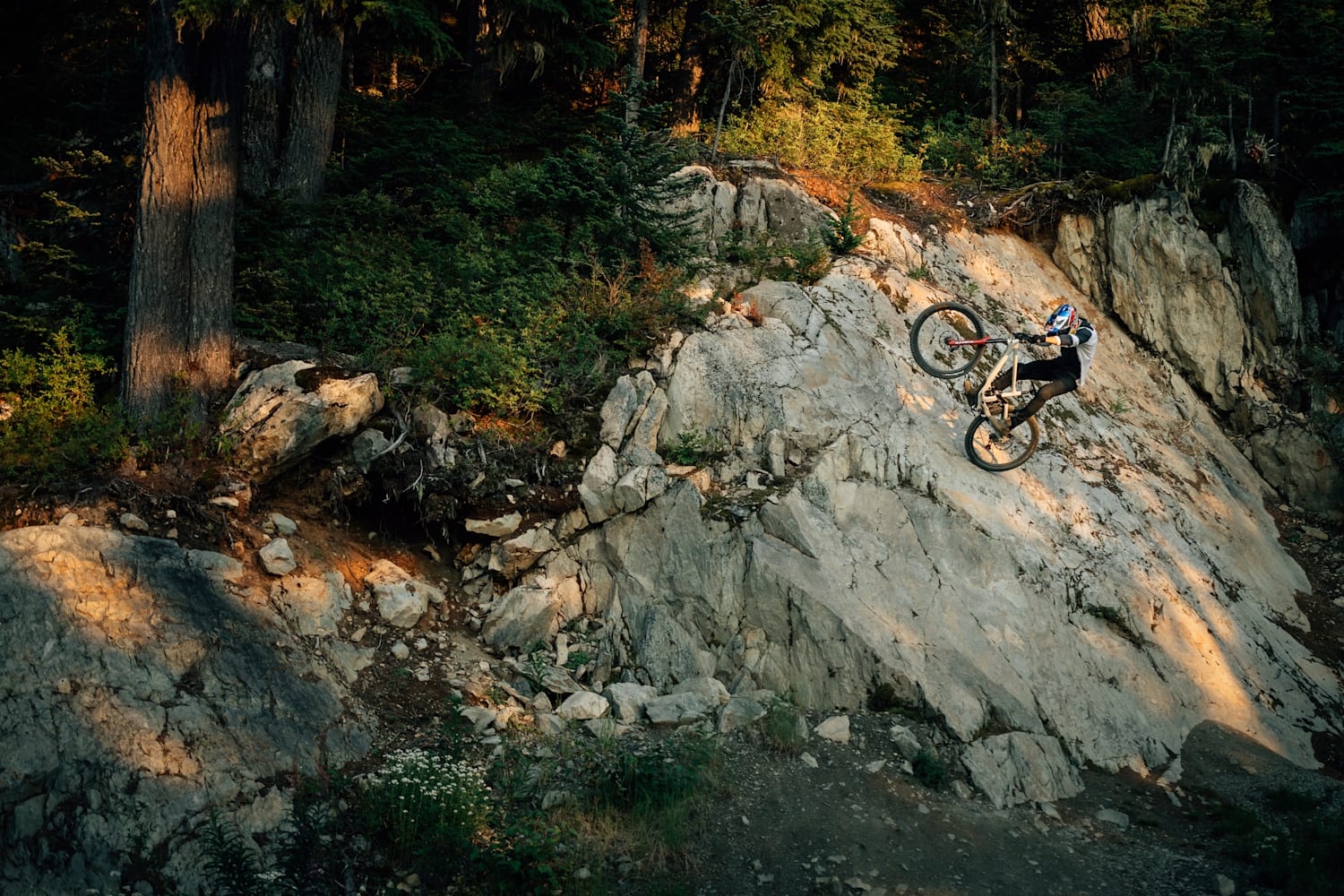 Fat bike tricks shop