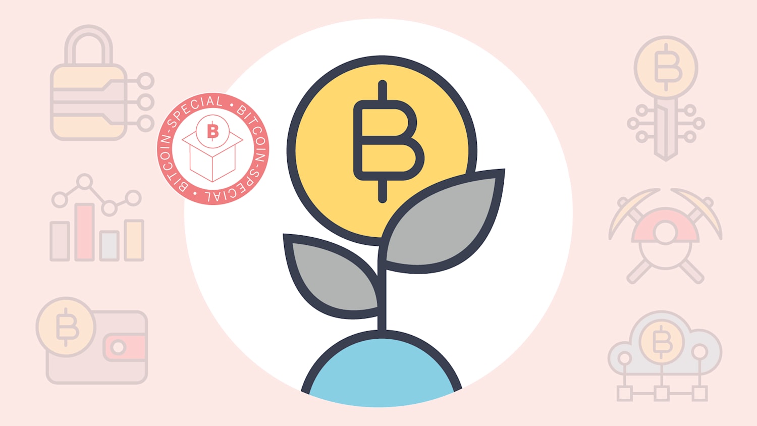 Krypto-Begriffe erklärt: Die wichtigsten Fachbegriffe