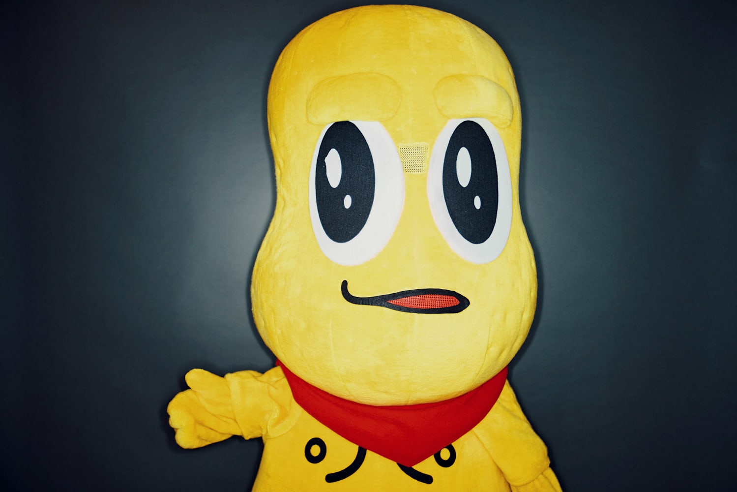 ピーナッツくんインタビュー『怖いひとたちだったらどうしようとか