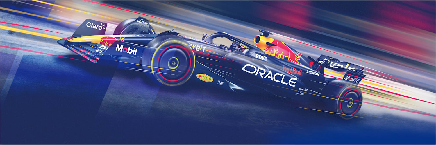限定・レッドブルドリンク8本ｘ2+RB19 ペーパークラフトｘ2 限定・レッドブルドリンク8本x2+RB19 ペーパークラフトx2の