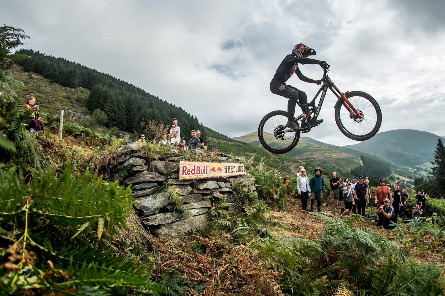 Red bull downhill race best sale