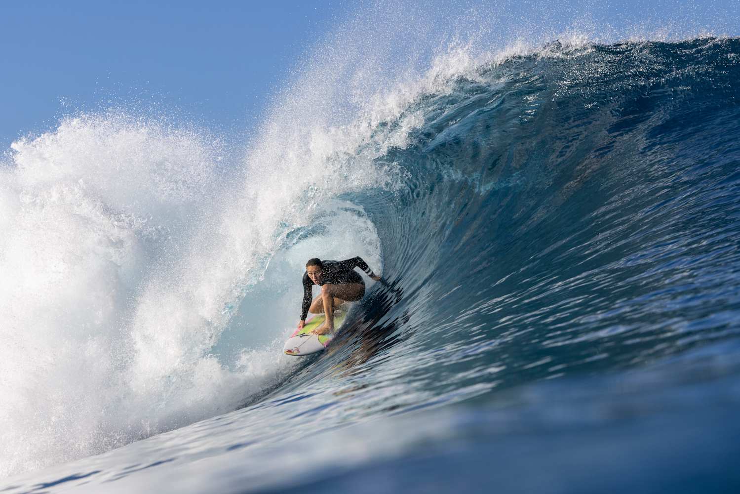 Surfing basics 101 shop
