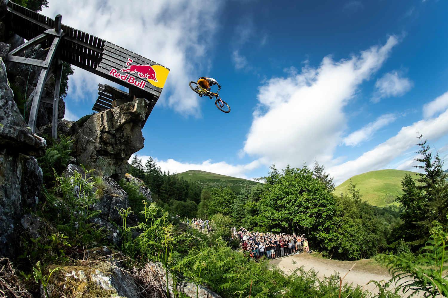 Red bull downhill extreme shop