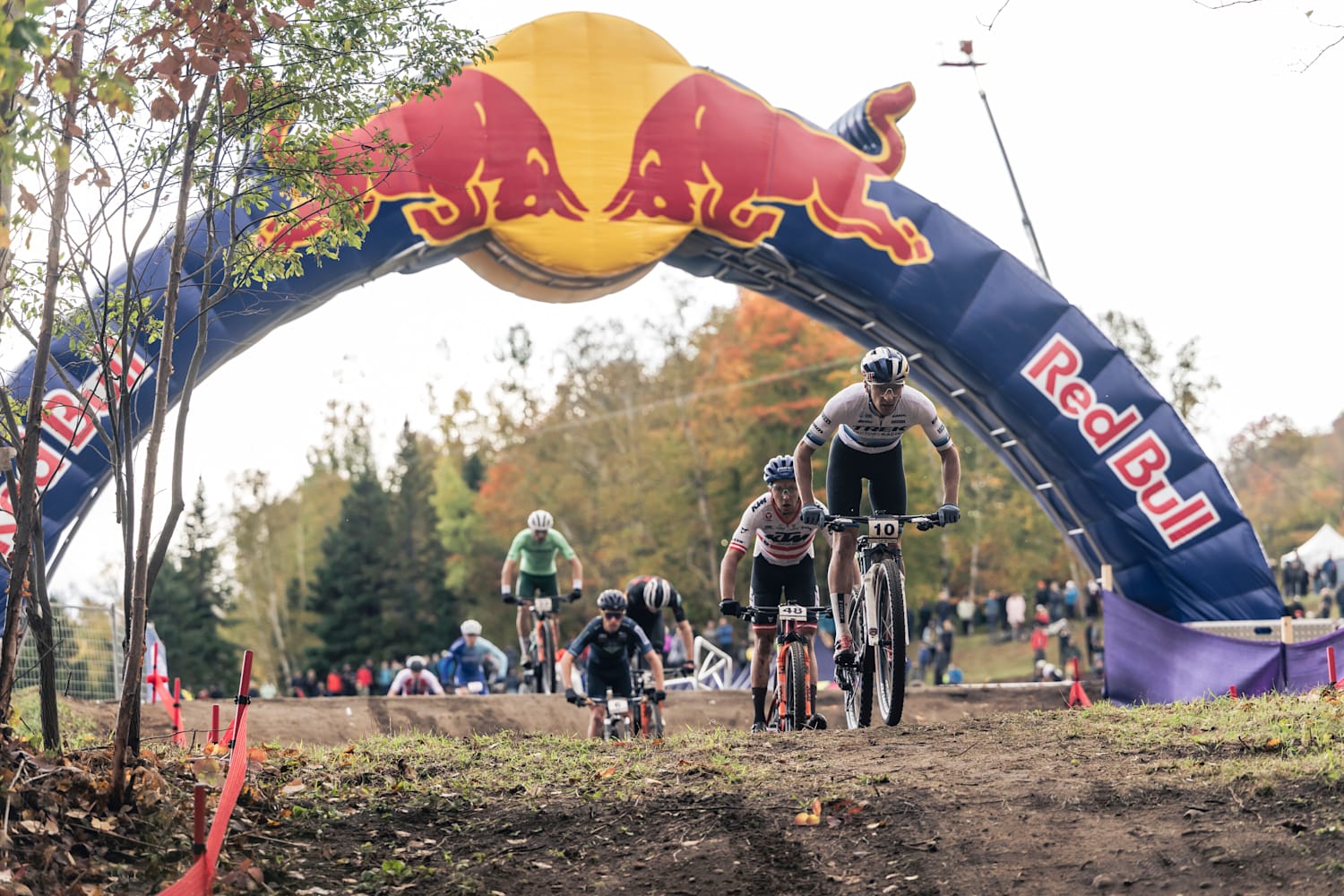 Red bull xco outlet